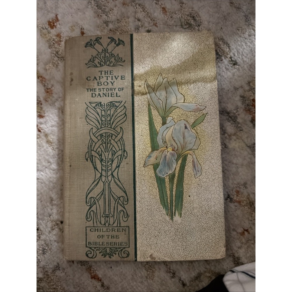 The Captive Boy, by J. H. Willard - 1905 - Antique Hardcover Book